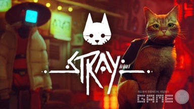 "고양이 게임 '스트레이' 디자인 그대로 베꼈다"... 6억 원 배상 소송 터졌다