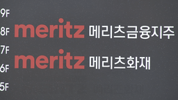 손보 업계 판도 변화…DB 제친 메리츠