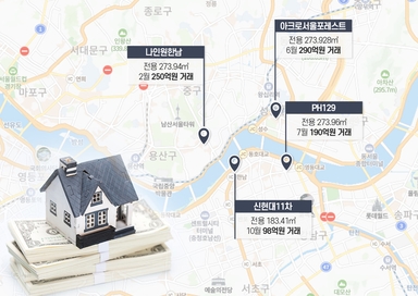 ‘290억’ 집도 뚝딱…규제 비웃는 현금부자들, 초고가 거래 이어간다