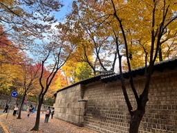[윤주의 이제는 국가유산] [40] 세월의 풍파 이겨낸 덕수궁