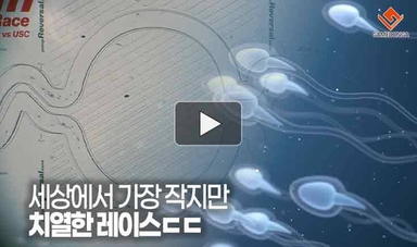 [동영상] 세상에서 가장 작지만 치열한 레이스