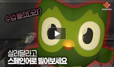 [동영상] 살려달라고 스페인어로 빌어보세요