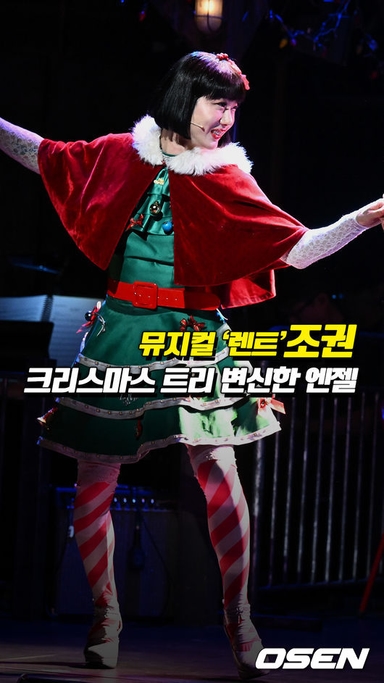 조권, 크리스마스 트리 변신한 엔젤[O! STAR 숏폼]