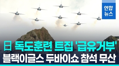 [영상] 블랙이글스, 두바이쇼 참석 무산…일본 '급유 거부' 여파