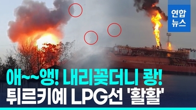 [영상] 우크라 항구 때린 러 자폭드론…튀르키예 LPG 정박선 '활활'