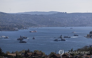 튀르키예, 흑해서 접근한 '통제 불능' 드론 F-16으로 격추