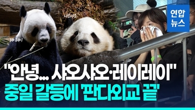 [영상] '마지막 판다' 떠난다…일본 팬들 '눈물의 작별'