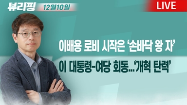 [뷰리핑] 이배용 로비 시작은 ‘손바닥 왕 자’