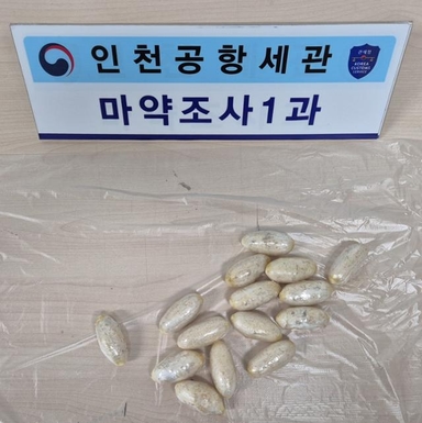 '엑스터시 5800명 투약분' 신체에 숨겨 밀반입한 외국인 적발