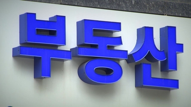 '부동산 감독기구' 내년 출범...'빅브라더' 우려 불식시킬까