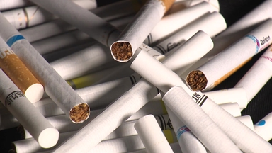 "담배에 이런 성분까지?"...내년 하반기면 파악 가능