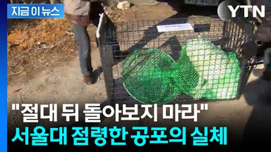 서울대 캠퍼스 불안 확산... 학생들 '행동 요령 공유까지' [지금이뉴]