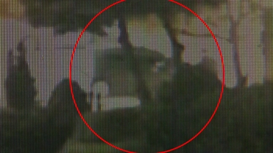 '영차영차'...사고로 깔린 아이에 힘 모아 차 들어 올린 시민들