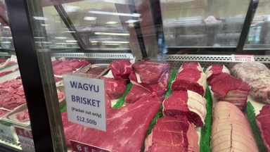 트럼프, 법무부에 '소고기 가격 담합' 수사 지시