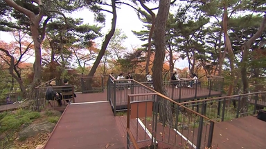 누구나 편하게 즐기는 오색단풍...남산 하늘숲길로