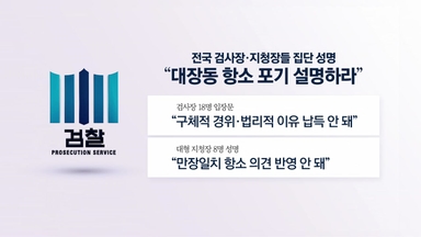 검사들 집단 반발에..."쿠데타적 항명" vs "파란 윤석열" [앵커리포트]