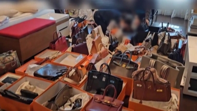 '에르메스 60점·캐리어 속 현금 4억' 압류...고액·상습체납 '합동수색'