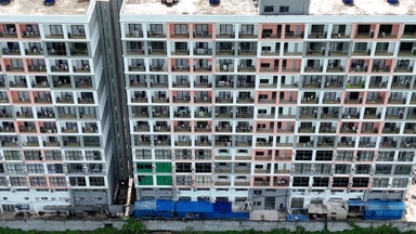 캄보디아 '코리아 전담반' 출범...초국경 합동작전도 실시