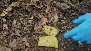 낚시터에 사찰까지...'마약 던지기' 120명 검거