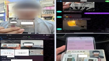 "캄보디아서 감금" 허위 신고...실체는 범죄조직원