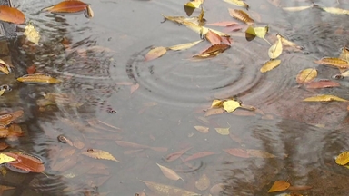 [날씨] 일요일 비 뒤 또 강추위...서울 영하권·서쪽 첫눈 가능성