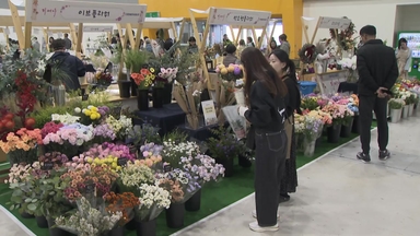 "집 안에 숲이 온다"...'플랜테리어' 관심 껑충