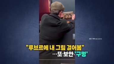 [나우쇼츠] "루브르에 내 그림 걸어봄"...또 보안 '구멍'