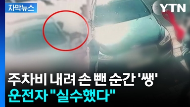 [자막뉴스] 인도로 돌진한 차...길 가던 엄마와 2살 딸 '날벼락'