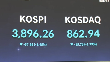 코스피 장중 3,900선 붕괴...서학개미에 대외금융자산 '최대'