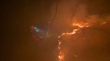 강원 인제 산불 대응 1단계 발령...진화율 60% 집계