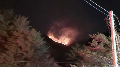 강원 양양 서림리 산불...인력 200명 투입해 진화 중