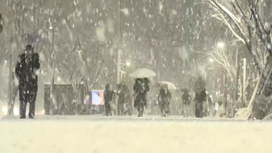 천둥·번개와 함께 폭설이라니...심상치 않은 한반도 날씨 [Y녹취록]