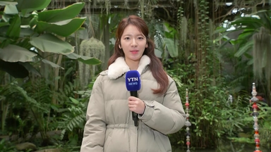 [날씨] 주말, 추위 점차 풀려...중부 중심 약한 비·눈