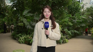 [날씨] 동장군 물러나고 추위 풀려...중부 중심 약한 비·눈