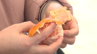 제주 감귤의 우수성 알린다...'감귤데이' 10주년