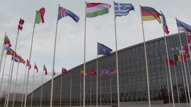 트럼프 '나토 발빼기' 시동...기로에선 국제 질서