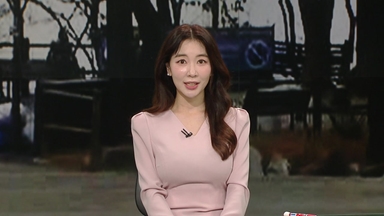 [날씨] 포근한 '대설'...미세먼지 영향 공기 탁해요!