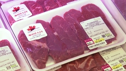 고환율에 물가 들썩...밥상 먹거리·기름값 '비상'