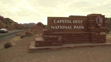 미국 국립공원, 흑인 인권 기념일 대신 트럼프 생일에 공짜 입장