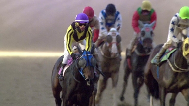 [주간 경마] '낙제생에서 우등생으로' 퍼펙트다나은, 4연승 질주