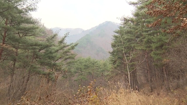 [날씨] 동해안 건조경보...이번 주 강추위 없지만, 비·눈 잦을 듯