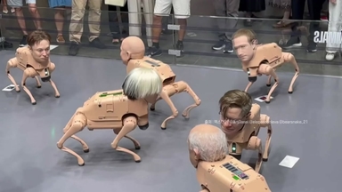 일론 머스크 얼굴 달린 로봇 개, 전시회에 출현