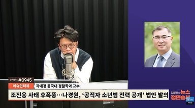 전문가, '공직자 소년기 흉악범죄 공개법' 발의에 "소년법 취지 어긋나, 의견 모아야"