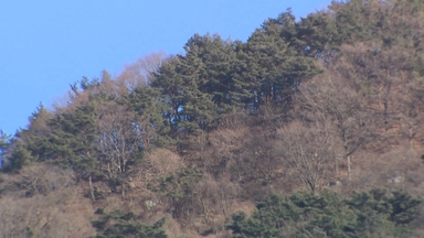 [날씨] 오늘 동해안·경남 산불 위험↑, 대형산불 조심...목요일 단비