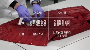 겉은 거위, 속은 오리...반복되는 '패딩 표기 불신' [앵커리포트]