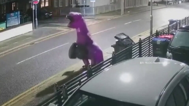 [나우쇼츠] "저 공룡인데 쓰레기 좀 버릴게요"