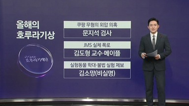 '올해의 호루라기상' 쿠팡 외압 의혹 '문지석 검사' 선정 [앵커리포트]