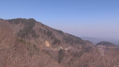 [날씨] 동해안·남해안 산불 위험↑, 대형산불 조심...목요일 단비