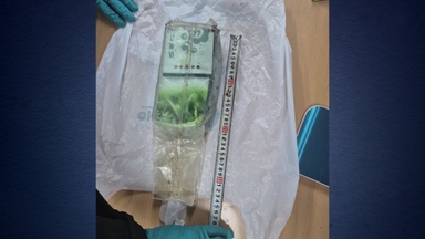 제주 해안에서 또...17번째 차 봉지 위장 마약