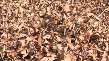 [날씨] 출근길, 어제보다 추위 덜해...동해안 대형 산불 주의